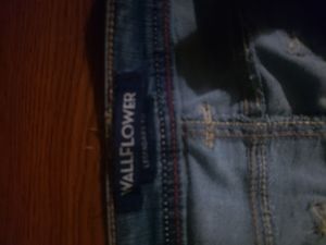 Juniors Wallflower size 13 jeans Bootcut